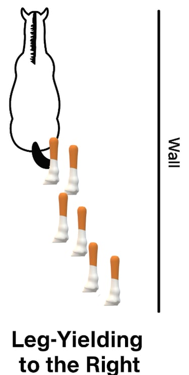 a poster with a picture of a leg yield horse picture