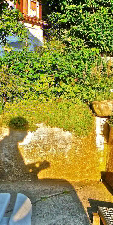 "Walking in the Park" © 2012 Heinz Lechner