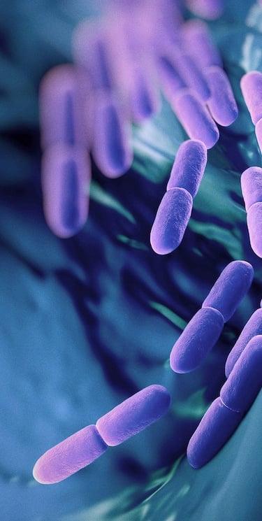 probiotics