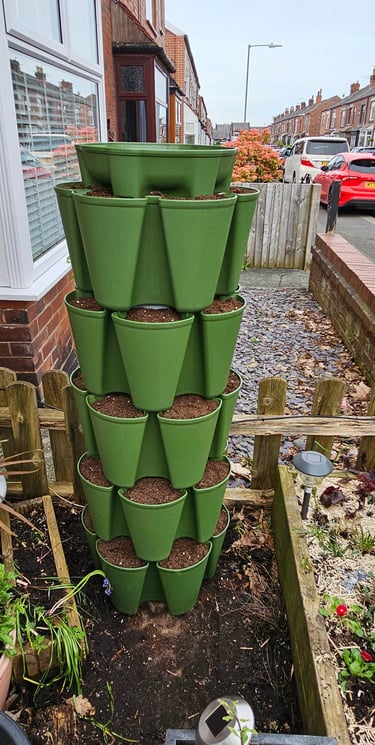 Greenstalk original tower planter filled with compost in front garden