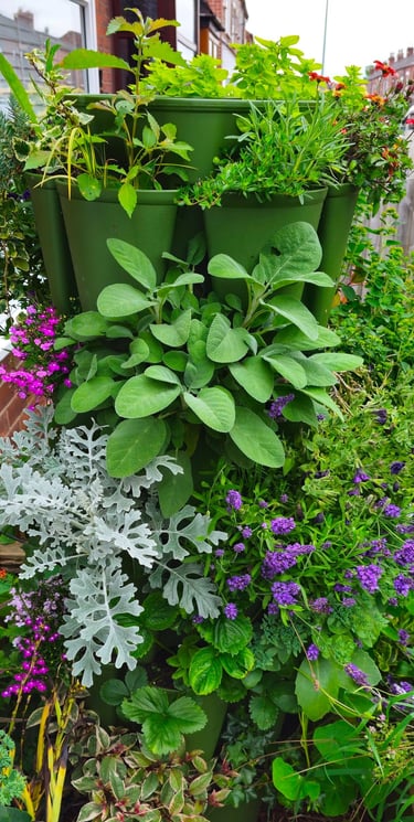 After 3 months, plants growing beautifully in a GreenStalk planter