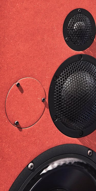 Present Day Production Studio monitor Bliesma silk mid and tweeter dome