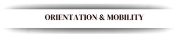 Georgia vision provider