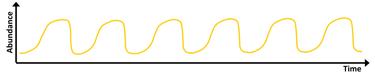 Typical dynamics of a microorganism population in its natural environment