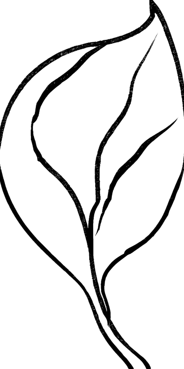 Small leaf representing unique partners in couples therapy