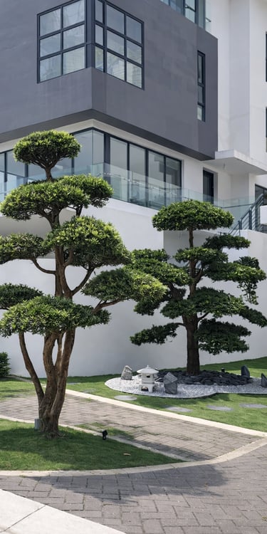 Modern residential landscape design with sculpted garden trees and zen garden by Yie Yang Landscape