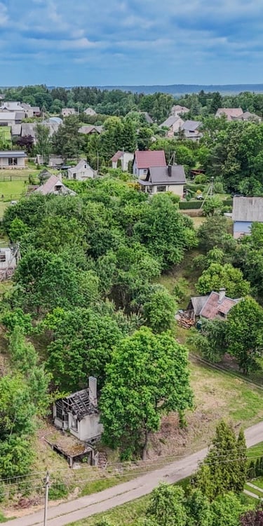 Dubrava iš paukščio skrydžio