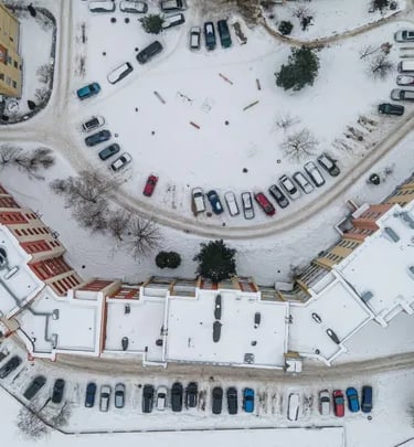 Dainava ,,Bermudų trikampis"