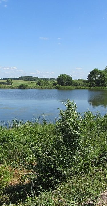 Laumėnų tvenkinys