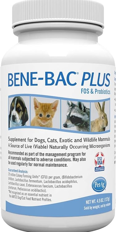 Hot Cross Buns' recommended products - Amazon Bene-bac