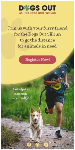 Display ad for Dogs Out 5K integrated digital campaign.