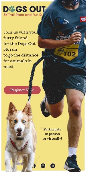 Display ad for Dogs Out 5K integrated digital campaign.