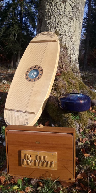 Harpe des elfes, kingonki et shrutibox en pleine nature