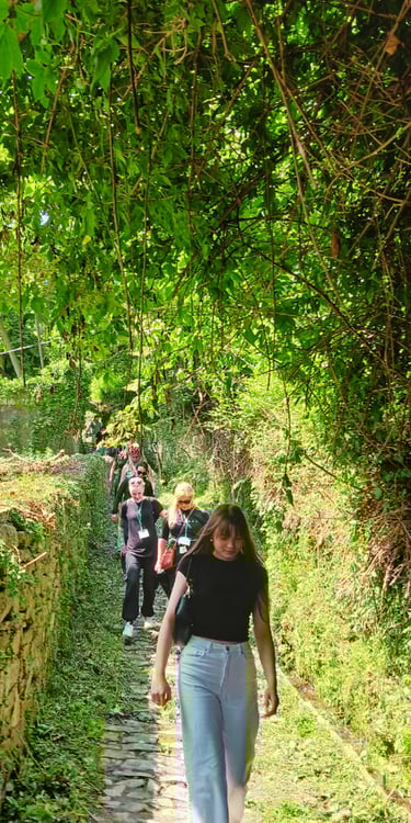Guided herbal walk with medical herbalist Emmanouil Manos and erasmus students at Tsagkaraga