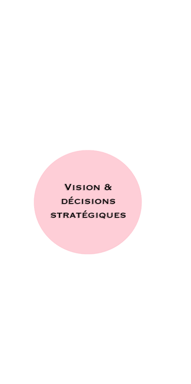 strategic vision