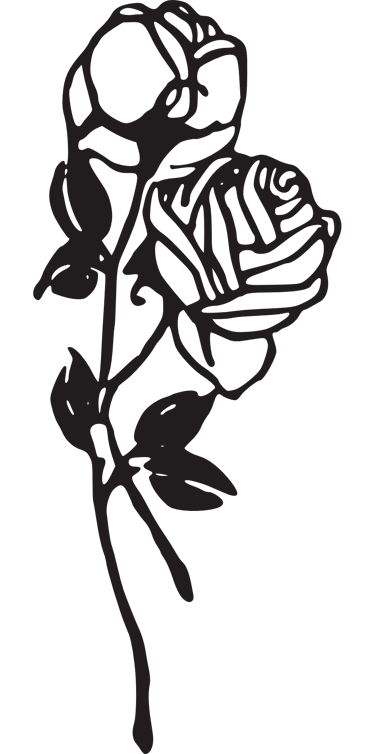 Roses black and white drawing