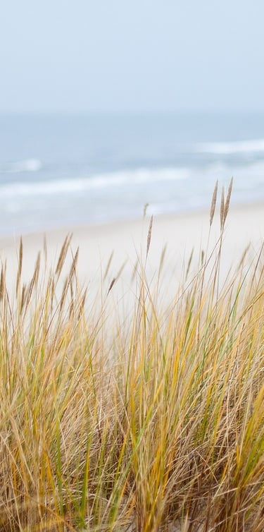 psychologie transgénéalogique transpersonnelle mémoire du corps libérer