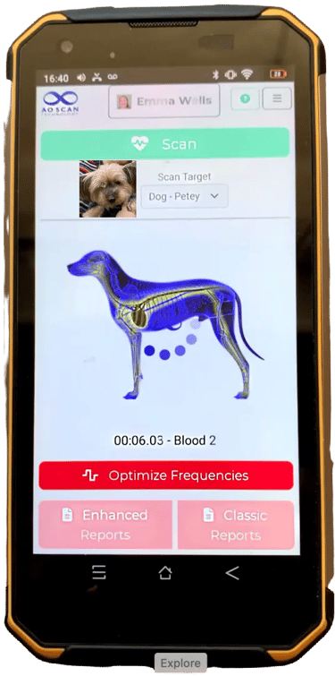 a cell phone showing a dog scan