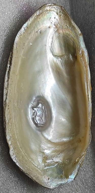 "White divine face pearl–cultured via nucleus method, 11mm handcrafted finish-for international trade"