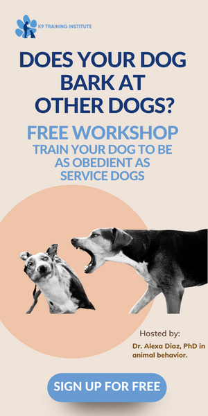 dog barking at other dogs