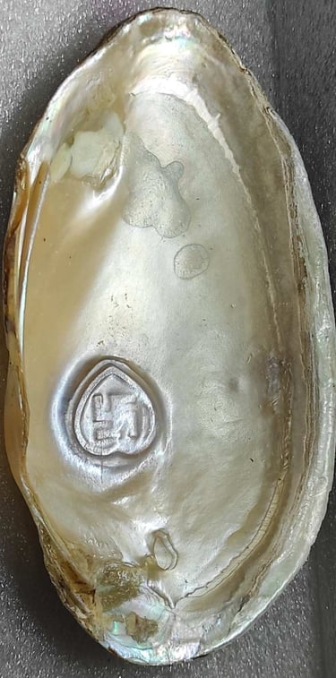 "Side view of 11mm white heart-shaped designer cultured pearl-nucleus-grown form-for worldwide trade".