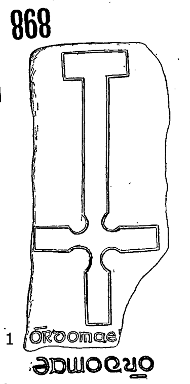 Iniscealtra Runestone 898 - Barony of Tulla Upper, County Clare, Ireland