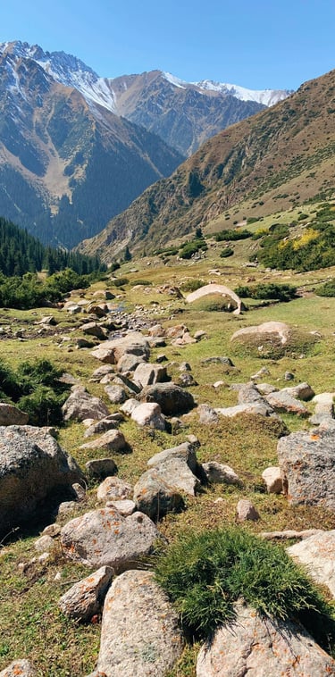 green grass field and brown mountain during daytime by Irina Shishkina
