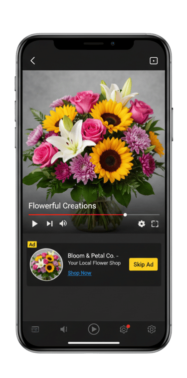 Publicidad en You Tube