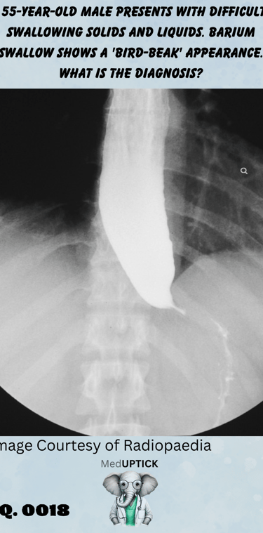 a gastrograffin image with a birds beak of an esophagus