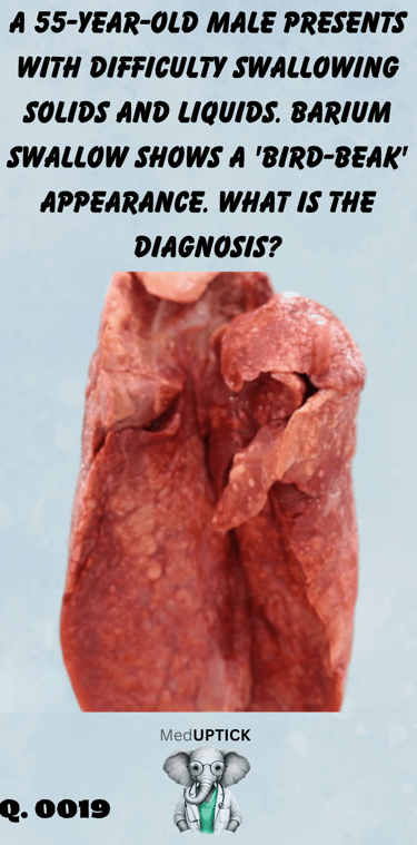 photograph of a set of lungs