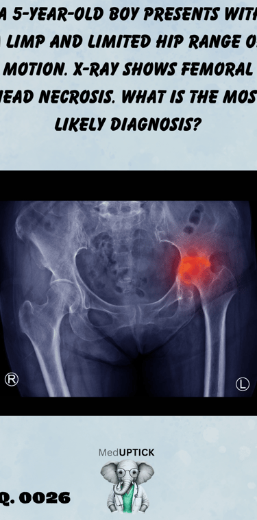 a pelvic x-ray with a hip highlighted in red