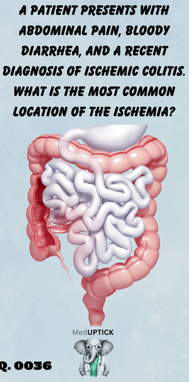 a 3-D picture of a gastrointestinal tract rendering