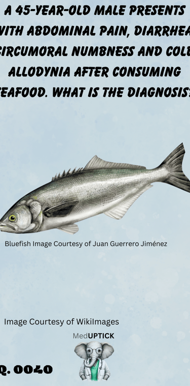 an image of a bluefish