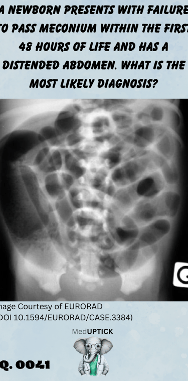 an x-ray image of distended small intestines