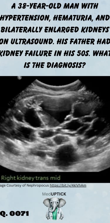 bilaterally enlarged kidneys on ultrasound