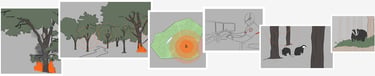 Illustrations of a forest fire detection system using sensors to alert a dispatcher and protect badgers in the woods.