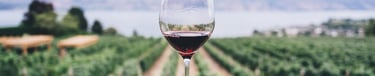 wine country
