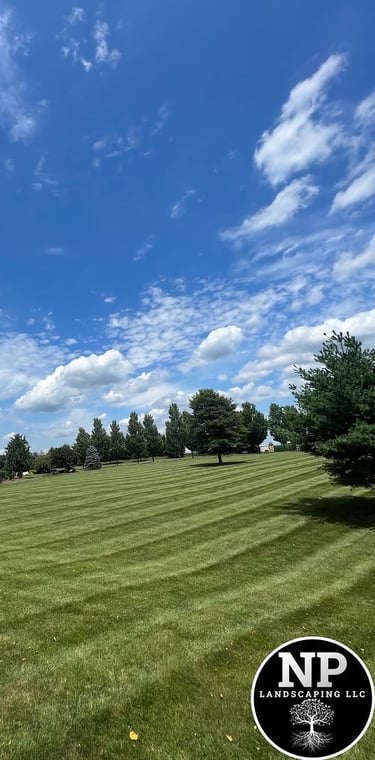 excellent landscaping and hardscaping of grass, stones and trees by NP Landscaping