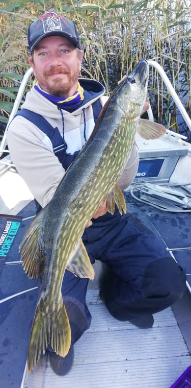 A fisherman sits in a fishing boat in Sweden, he holds a big pike thanks to fishing escape sweden.