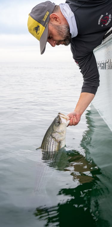 Marc Releasing a nice bass