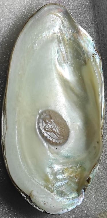 "White 11mm divine motif cultured pearl–handcrafted nucleus implantation-Suitable for export"