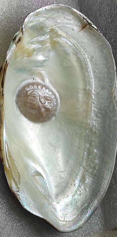 "Divine face designer pearl in white, approx 11mm–angled side view-Export-standard"