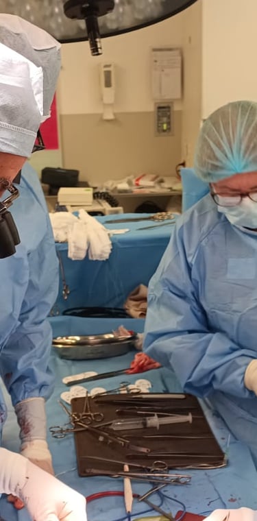 Excelência em cirurgia cardíaca