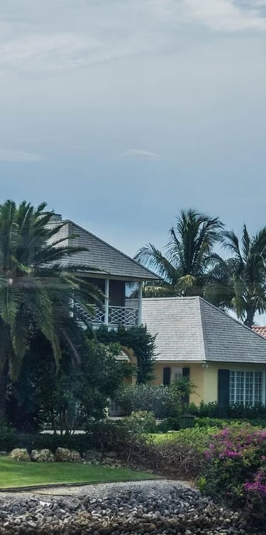 house with palm trees
