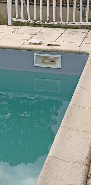 skimmer