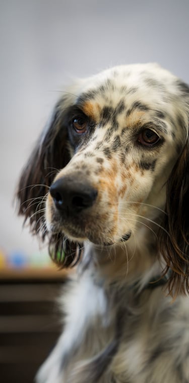 photographe professionnel Provence et vidéaste