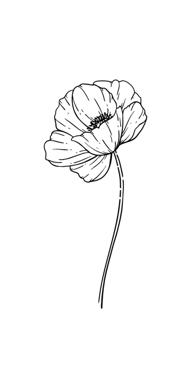 Elément décoratif - coquelicot monoligne noir  Joanie Frigau