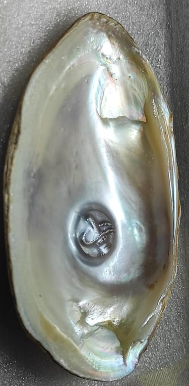 "White designer pearl with sacred face design–11mm using nucleus method-for global shipment"