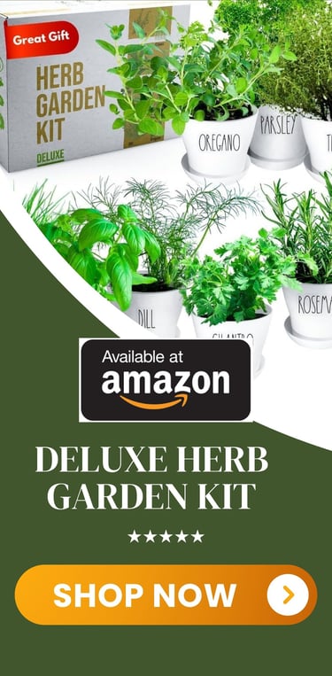 a garden with herbs in a box
