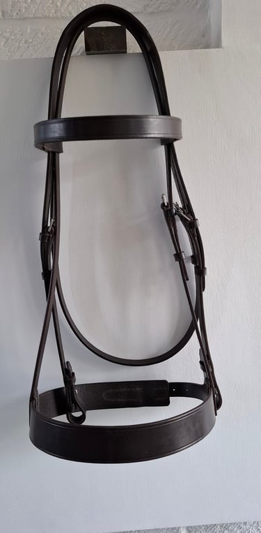 Leather Bridle